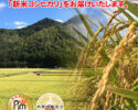 「令和3年産新米コシヒカリ」お米の匠が、薩摩の国より日本一早い 「新米コシヒカリ」をお届けいたします。